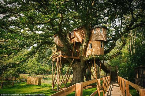 Mavic treehouse 1